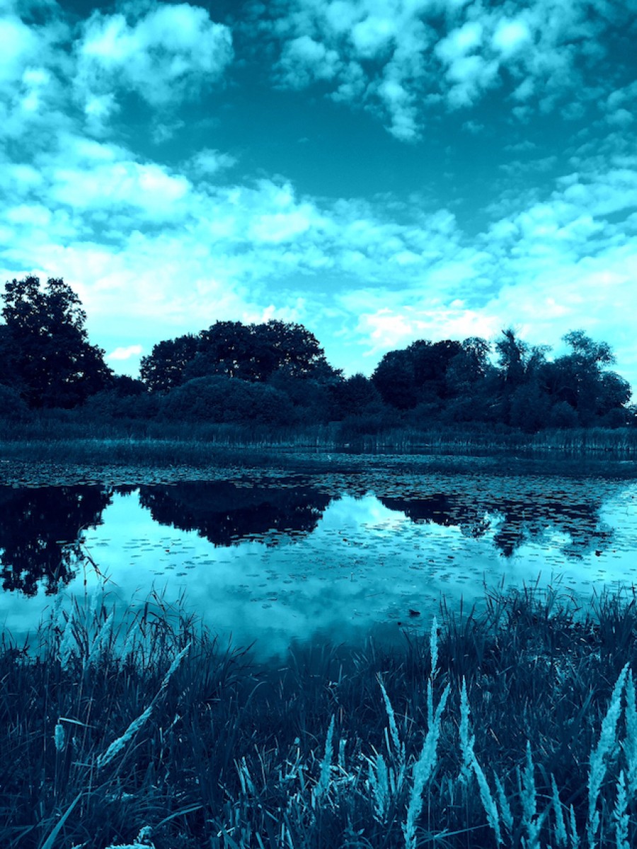 Blauer See bei Potsdam (Bild: Marc B. Rey)