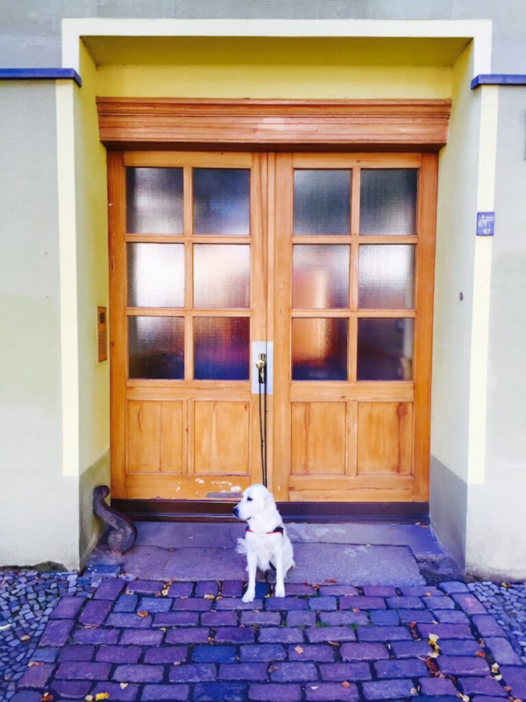 Ella wartet auf ihr nächstes Abenteuer (Bild: Marc B. Rey)