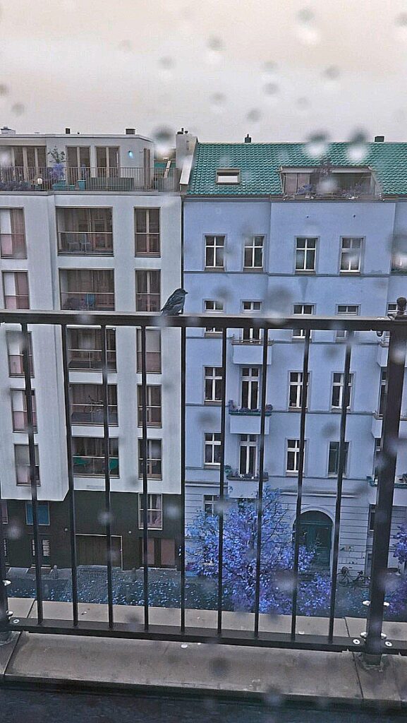 It never rains in Southern California, but sometimes in Berlin