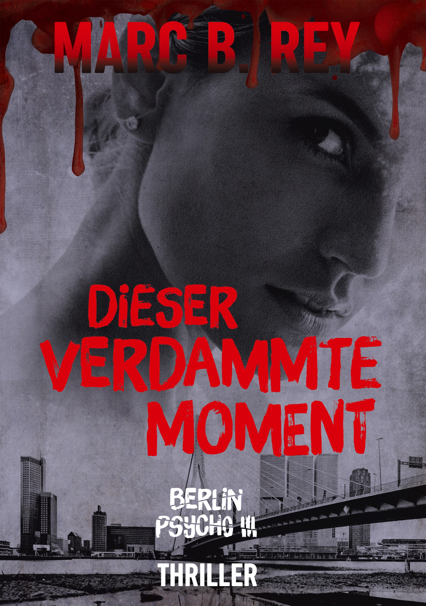 Dieser verdammte Moment - Cover des dritten Teils der Berlin Psycho Reihe. Es zeigt die Skyline von Rotterdam, das leicht verdeckte Gesicht einer Frau und es läuft Blut vom oberen Rand herab